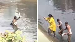 Madrasa Teachers' Protest: ভোটের মুখে প্রাথমিক শিক্ষক পদে নিয়োগ-তালিকা প্রকাশ রাজ্যের