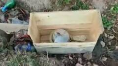 J&K: Unclaimed cooker found in mysterious setting at Rajouri