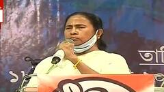 West Bengal Election 2021: 'দেশের স্বরাষ্ট্রমন্ত্রী এত মিথ্যা বলতে পারে, কখনও দেখিনি', কটাক্ষ মমতার