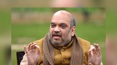 Amit Shah in Bengal: বালিগঞ্জে ভারত সেবাশ্রম সঙ্ঘে আরতি করলেন অমিত শাহ, পুজো দিলেন কপিল মুনির আশ্রমে