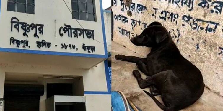 Bishnupur: Many Dog died In Bankura, causes panic among locals হঠাৎ কুকুরদের মড়ক, তীব্র আতঙ্ক বিষ্ণুপুরে
