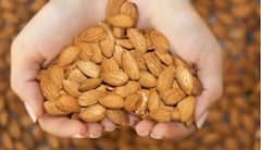 সাবধান! বাদামে রয়েছে এই ক্ষতিকারক দিকও...