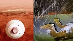 নজরে চটজলদি ৯: সৌদিতে মরুভূমিতে তুষারপাত, লাল গ্রহে কাজ শুরু করল পার্সাভিয়ারেন্সের ৪টি ক্যামেরা
