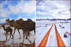 ਕੁਦਰਤ ਦੇ ਰੰਗ! ਰੇਗਿਸਤਾਨ ’ਚ ਭਾਰੀ ਬਰਫ਼ਬਾਰੀ, 50 ਸਾਲਾਂ ਦਾ ਟੁੱਟਿਆ ਰਿਕਾਰਡ