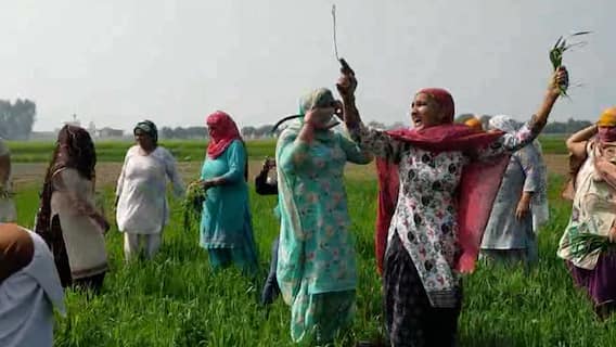 Farmers' Protest: Will destroying standing crops bring a solution? | Master Stroke