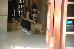 সারমেয়প্রেমী মলাইকা অরোরা