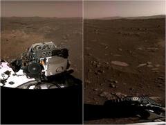 মঙ্গল গ্রহের মাটি থেকে ছবি তুলে পাঠাল পারসিভ্যারেন্স রোভার, শেয়ার করল নাসা