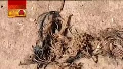 West Bengal Elections 2021: উত্তপ্ত পটাশপুর, BJP কর্মীদের উপর 'হামলা-বোমাবাজি', কাঠগড়ায় TMC