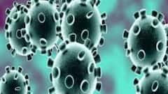 Ananda Sakal IV: করোনার দ্বিতীয় ঢেউ রুখতে তৎপর রাজ্য, সঙ্গে অন্য খবর