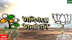 West Bengal Elections 2021: রাজনীতির রঙে রুপোলি ছোঁয়া, তৃণমূলের সভায় একঝাঁক টলি-তারকা