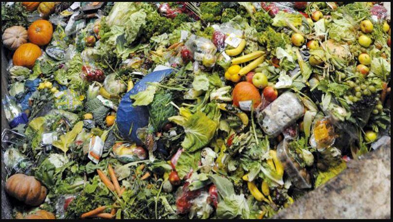 30 to 40% of fruits and vegetables are wasted in the country, 10% of grains are wasted ਦੇਸ਼ ’ਚ 30 ਤੋਂ 40% ਫਲ ਤੇ ਸਬਜ਼ੀਆਂ ਬਰਬਾਦ, 10% ਅਨਾਜ ਹੋ ਜਾਂਦੇ ਤਬਾਹ
