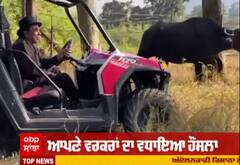 ਧਰਮਿੰਦਰ ਨੇ ਸ਼ੇਅਰ ਕੀਤੀ ਆਪਣੇ ਫਾਰਮ ਹਾਉਸ ਤੋਂ ਵੀਡੀਓ