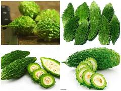 রোগ নিরাময়ে উচ্ছের গুণ, দেখে নিন একনজরে