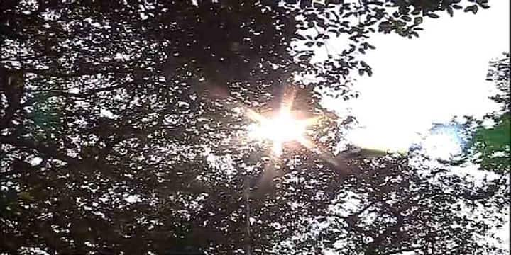 Weather Update: Temperature to increase in coming days in Bengal, says Alipore weather Department Kolkata Weather Update: মাঝ ফাল্গুনে ঊর্ধ্বমুখী রদ, বৃষ্টির পূর্বাভাস হাওয়া অফিসের