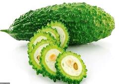 রোগ নিরাময়ে উচ্ছের গুণ, দেখে নিন একনজরে