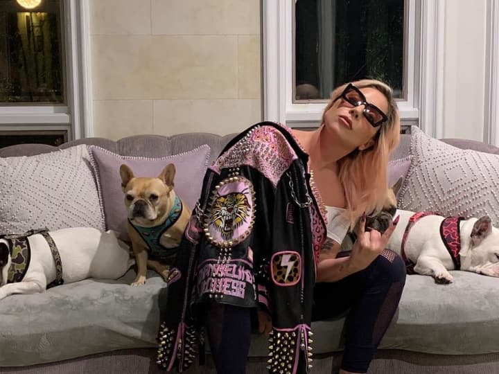 lady gaga dogs return unharmed dogwalker ryan fischer shot Lady Gaga's Dogs Return Unharmed 2 Days After Being Stolen