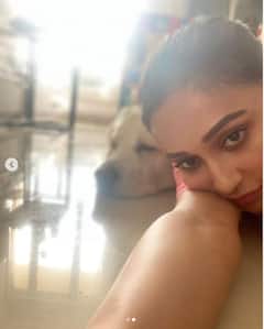 Mimi Chakraborty Pics: ক্যানসারে আক্রান্ত পোষ্য়কে নিয়ে চেন্নাই পাড়ি মিমির, সুস্থতা কামনায় রাজ