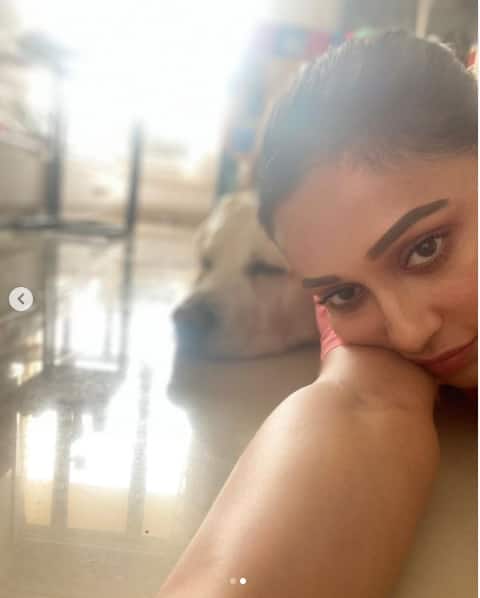 সোশ্যাল মিডিয়ায় ছড়াছড়ি মিমির সবচেয়ে প্রিয় দুই সঙ্গীর ছবি। ম্যাক্স ও চিকু। শ্যুটিং আর কাজ ছাড়া মিমির সারাক্ষণই প্রায় কাটে তাঁদের সঙ্গে।