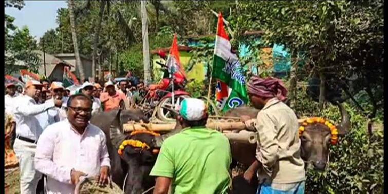 TMC shows unique protest by riding Bullock cart in North 24 parganas Fuel Price Hike Protest মহিষের গাড়িতে বাইক, গ্যাস সিলিন্ডার তুলে মূল্যবৃদ্ধির অভিনব প্রতিবাদ