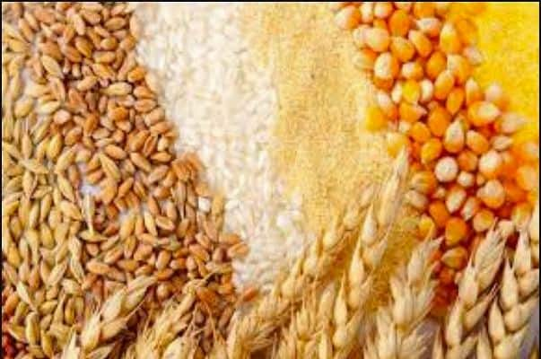 Corona has made foodgrains more expensive in the international market, benefiting India ਕੋਰੋਨਾ ਕਾਰਨ ਕੌਮਾਂਤਰੀ ਬਾਜ਼ਾਰ ’ਚ ਮਹਿੰਗਾ ਹੋਇਆ ਅਨਾਜ, ਭਾਰਤ ਨੂੰ ਹੋਏਗਾ ਫਾਇਦਾ