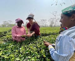 মাথায় নিলেন ঝুড়ি, চা পাতাও তুললেন প্রিয়ঙ্কা গাঁধী
