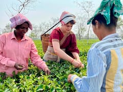 IN PICS | Priyanka Gandhi Woos People Of Assam Ahead Of Polls; Tries Hand At Plucking Tea Leaves