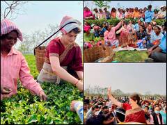 IN PICS | Priyanka Gandhi Woos People Of Assam Ahead Of Polls; Tries Hand At Plucking Tea Leaves