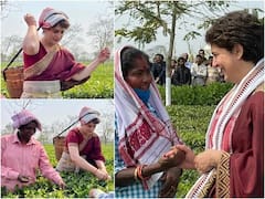 মাথায় নিলেন ঝুড়ি, চা পাতাও তুললেন প্রিয়ঙ্কা গাঁধী