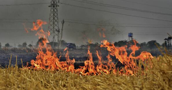 Air Pollution: Stubble burning contributes 10% to Delhi’s pollution, Centre tells Supreme Court Burning of Stubble: ਕੇਂਦਰ ਸਰਕਾਰ ਦਾ ਦਾਅਵਾ ਪਰਾਲੀ ਸਾੜਨ ਨਾਲ ਨਹੀਂ ਹੋ ਰਿਹਾ ਪ੍ਰਦੂਸ਼ਣ, ਸੁਪਰੀਮ ਕੋਰਟ ਵੱਲੋਂ ਐਮਰਜੈਂਸੀ ਬੈਠਕ ਬੁਲਾਉਣ ਦਾ ਹੁਕਮ