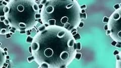 COVAXIN is 81 percent effective: Reports | Audio Bulletin
