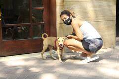 Maliaka Arora Yoga pics: জিমে যাওয়ার পথে হঠাৎ গাড়ি থেকে নেমে কুকুরকে আদর মালাইকার