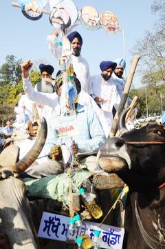 ਅਕਾਲੀਆਂ ਦਾ ਅਨੌਖਾ ਪ੍ਰਦਰਸ਼ਨ, ਗੱਡੇ 'ਤੇ ਸਵਾਰ ਹੋ ਪਹੁੰਚੇ ਵਿਧਾਨ ਸਭਾ, ਦੇਖੋ ਤਸਵੀਰਾਂ
