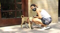 Maliaka Arora Yoga pics: জিমে যাওয়ার পথে হঠাৎ গাড়ি থেকে নেমে কুকুরকে আদর মালাইকার