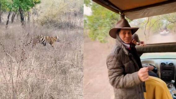 World Wildlife Day: বণ্যপ্রাণ দিবসে মাস্টার ব্লাস্টারের বাঘ-দর্শনের অভিজ্ঞতা