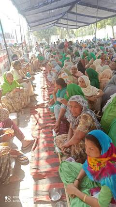 ਕਿਸਾਨ ਅੰਦੋਲਨ 'ਚ ਔਰਤਾਂ ਰਚਣਗੀਆਂ ਇਤਿਹਾਸ, ਮਿੱਥਿਆ ਦਿਨ ਵਾਰ ਤੇ ਤਾਰੀਖ