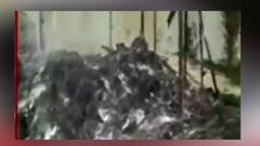 WB Election 2021 : আগুনে ভস্মীভূত লাভপুরের BJP-র অস্থায়ী পার্টি অফিস, কাঠগড়ায় TMC