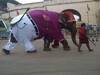 Elephant wearing dress: ਪੈਂਟ-ਸ਼ਰਟ ਪਾ ਕੇ ਨਿਕਲਿਆ ਹਾਥੀ, ਆਨੰਦ ਮਹਿੰਦਰਾ ਵੀ ਬਣੇ ਫ਼ੈਨ, ਦੇ ਦਿੱਤਾ ਇਹ ਨਾਂ