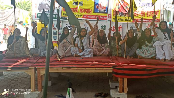 ਚੰਡੀਗੜ੍ਹ: ਸੰਯੁਕਤ ਕਿਸਾਨ ਮੋਰਚੇ ਵੱਲੋਂ 'ਦੇਸ਼-ਵਿਆਪੀ ਕਾਲਾ ਦਿਵਸ' ਮਨਾਇਆ ਗਿਆ।