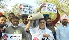 ਬਜਟ 'ਤੇ Akali Dal ਅਤੇ AAP ਦਾ ਅਨੌਖਾ ਪ੍ਰਦਰਸ਼ਨ