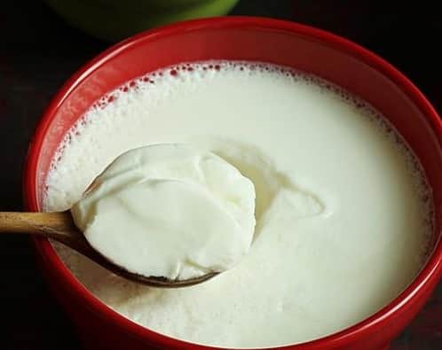Kitchen Hacks: घर पर जमाएं बिल्कुल मार्केट के जैसा गाढ़ा दही, फॉलो करें ये टिप्स