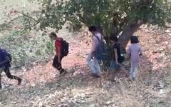 PHOTO | ऑनलाईन परीक्षेसाठी नेटवर्क नसल्याने विद्यार्थ्यांची धडपड, झाडावर बसून परीक्षा