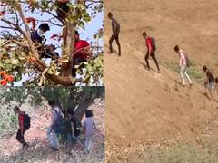 PHOTO | ऑनलाईन परीक्षेसाठी नेटवर्क नसल्याने विद्यार्थ्यांची धडपड, झाडावर बसून परीक्षा