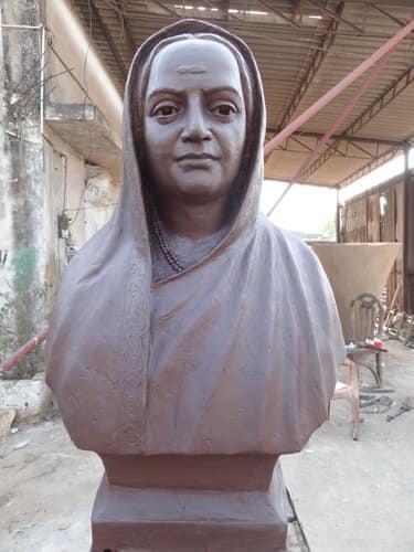 एकोणिसाव्या शतकात समाजात पसरलेल्या महिला हक्क, शिक्षण, अस्पृश्यता, सतीप्रथा, बालविवाह, विधवा-विवाह आणि अंधश्रद्धा या विरोधात सावित्री फुले यांनी पती ज्योतिराव फुले यांच्यासमवेत संघर्ष केला.