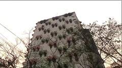 Strand Road Fire: সার্ভার রুম মেরামতির চেষ্টা, রাতভোর কাজ রেল টেল-এর