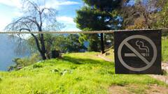 No Smoking Day 2021: সিগারেট ছাড়তে পারছেন না? কিছু টিপস