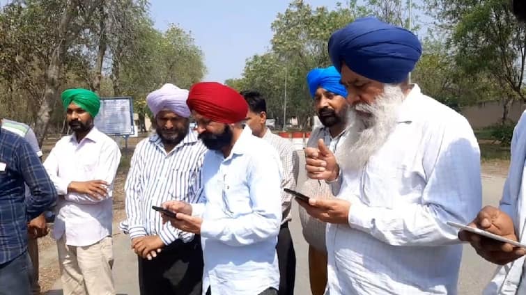 Punjab Power corporation employees against jio sim compulsory in department ਜੀਓ ਸਿੰਮ ਦੀ ਲਾਜ਼ਮੀ ਵਰਤੋਂ ਖਿਲਾਫ ਪਾਵਰਕੌਮ ਮੁਲਾਜ਼ਮਾਂ ਦਾ ਪ੍ਰਦਰਸ਼ਨ, ਪੰਜਾਬ ਸਰਕਾਰ ਨੇ ਜ਼ਿੰਮੇਵਾਰੀ ਤੋਂ ਝਾੜਿਆ ਪੱਲਾ