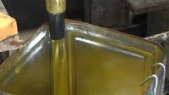 અસ્મિતા વિશેષઃ કોણે ખાધી તેલની મલાઇ?