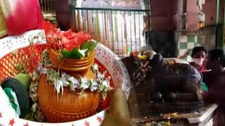 Maha Shivratri : খুলল গর্ভগৃহ,  দুধপুকুরে স্নান সেরে শিব-আরাধনায় পুণ্যার্থীরা