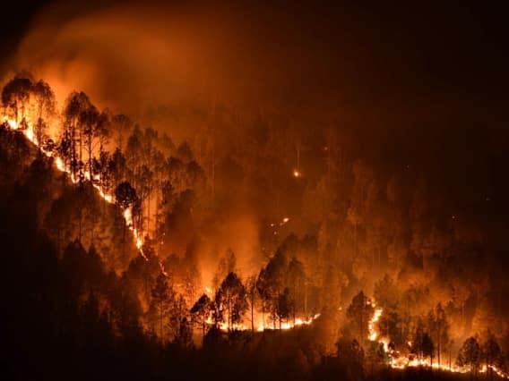 EXPLAINED| Similipal Wildfire: Here’s What Caused Fire In Asia’s Second Largest Biosphere Reserve EXPLAINED| Similipal Wildfire: Here’s What Caused Fire In Asia’s Second Largest Biosphere Reserve