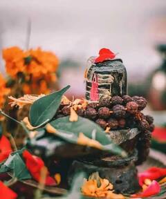 MahaShivratri Photos: প্রধান উপকরণ বেলপাতা, রুদ্রাক্ষ, দুধ, দেশজুড়ে মহা শিবরাত্রি পালন